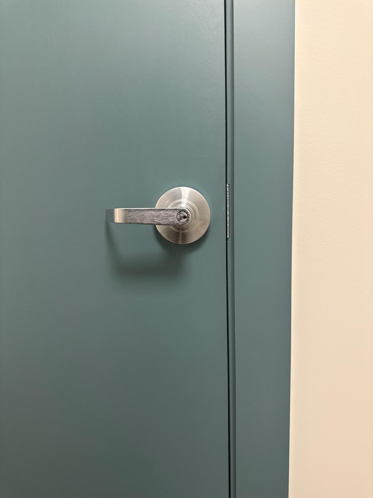 Bluefin brushed nickel door handle on green door